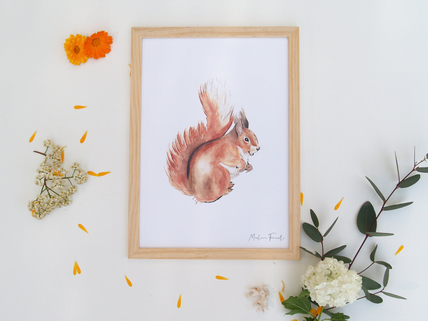 Cadre avec affiche aquarelle écureuil pour décorer une chambre enfant dans le thème de la forêt.