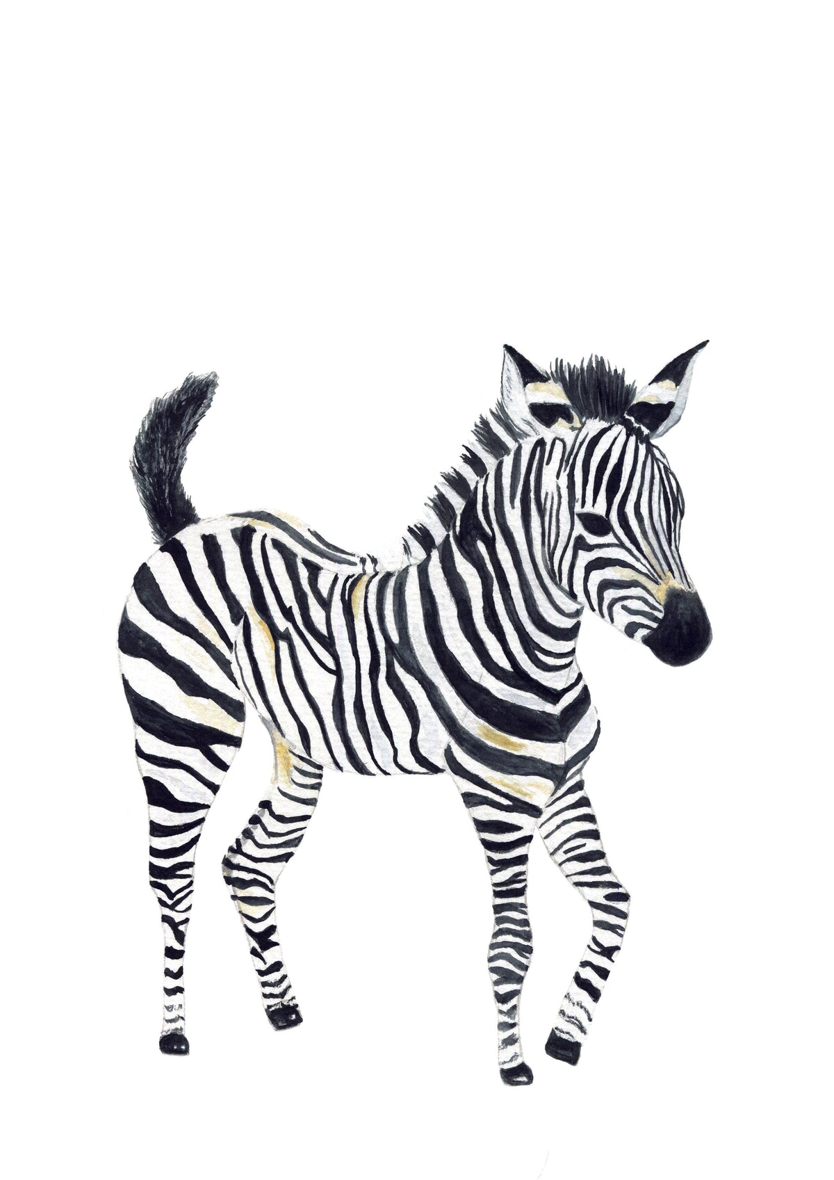 Cadre illustration aquarelle enfant d’un bébé zèbre idéal pour décorer une chambre d’enfant sur le thème de la savane