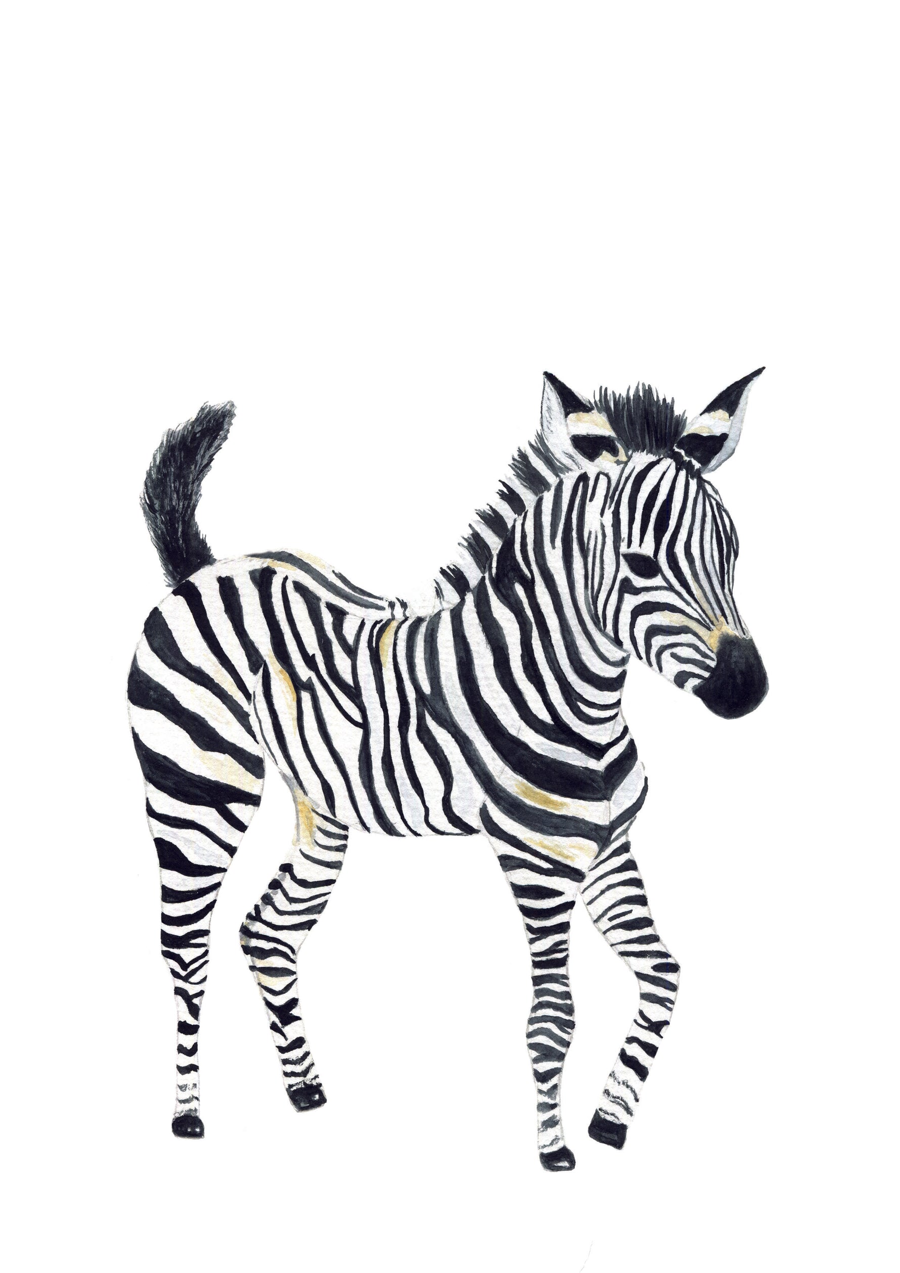 Cadre illustration aquarelle enfant d’un bébé zèbre idéal pour décorer une chambre d’enfant sur le thème de la savane