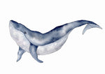 Cadre illustration aquarelle enfant d’une baleine idéal pour décorer une chambre d’enfant sur le t