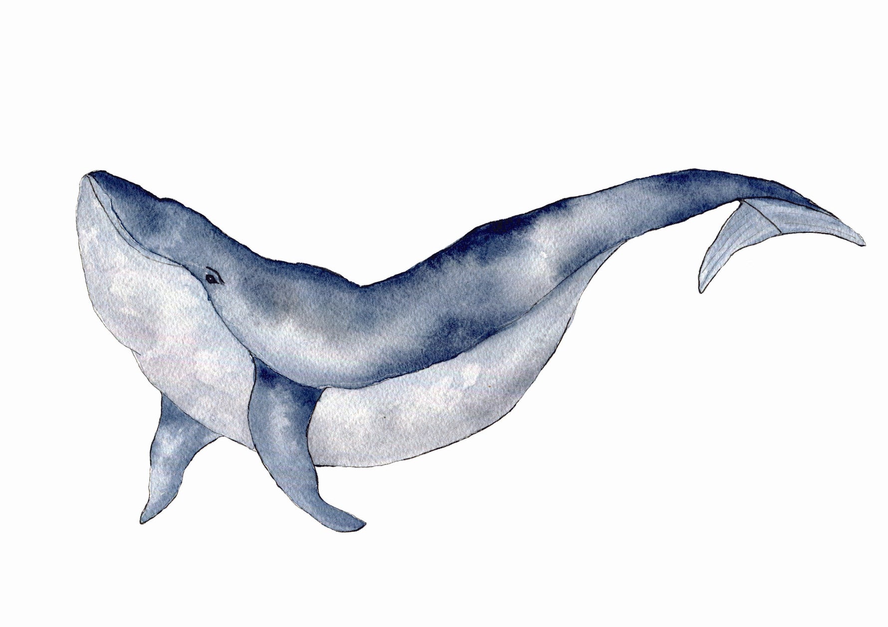 Cadre illustration aquarelle enfant d’une baleine idéal pour décorer une chambre d’enfant sur le t