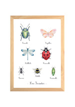 Affiche illustration aquarelle "Les insectes" image 0