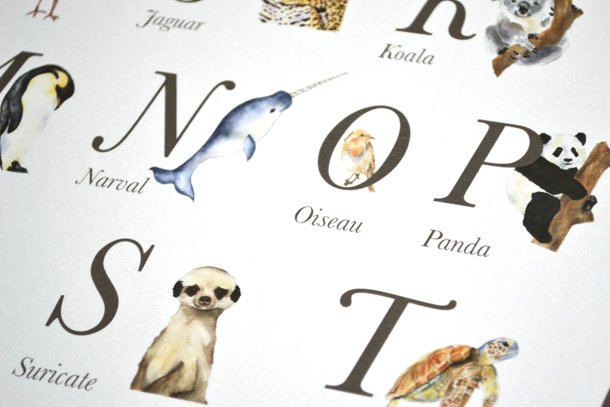 Cadre affiche aquarelle L' abécédaire des Animaux image 4
