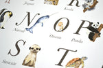 Cadre affiche aquarelle L' abécédaire des Animaux image 4