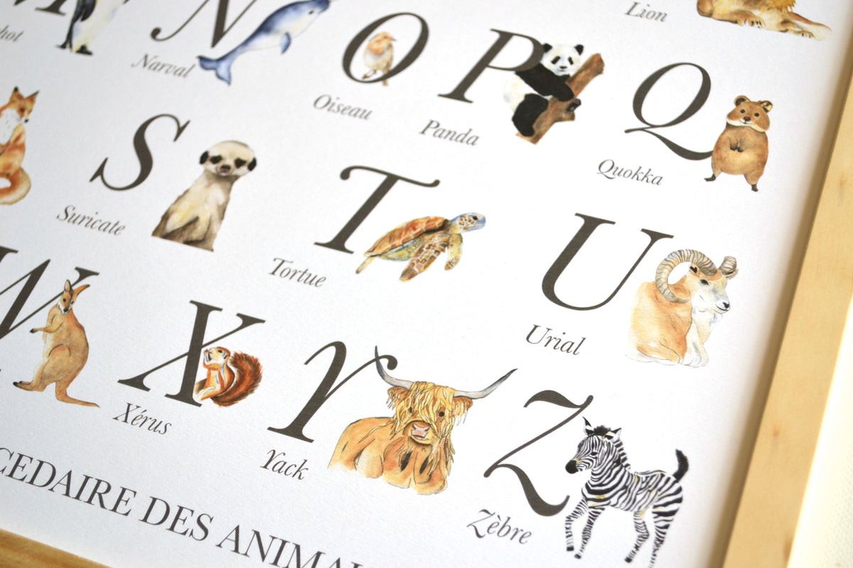 Illustration pédagogique animaux aquarelle pour chambre bébé thème nature et animaux