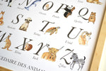 Illustration pédagogique animaux aquarelle pour chambre bébé thème nature et animaux
