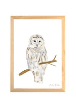 affiche chouette blanche aquarelle chambre bébé