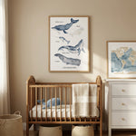 Illustration aquarelle de baleines pour décoration thème mer et océan dans une chambre de bébé