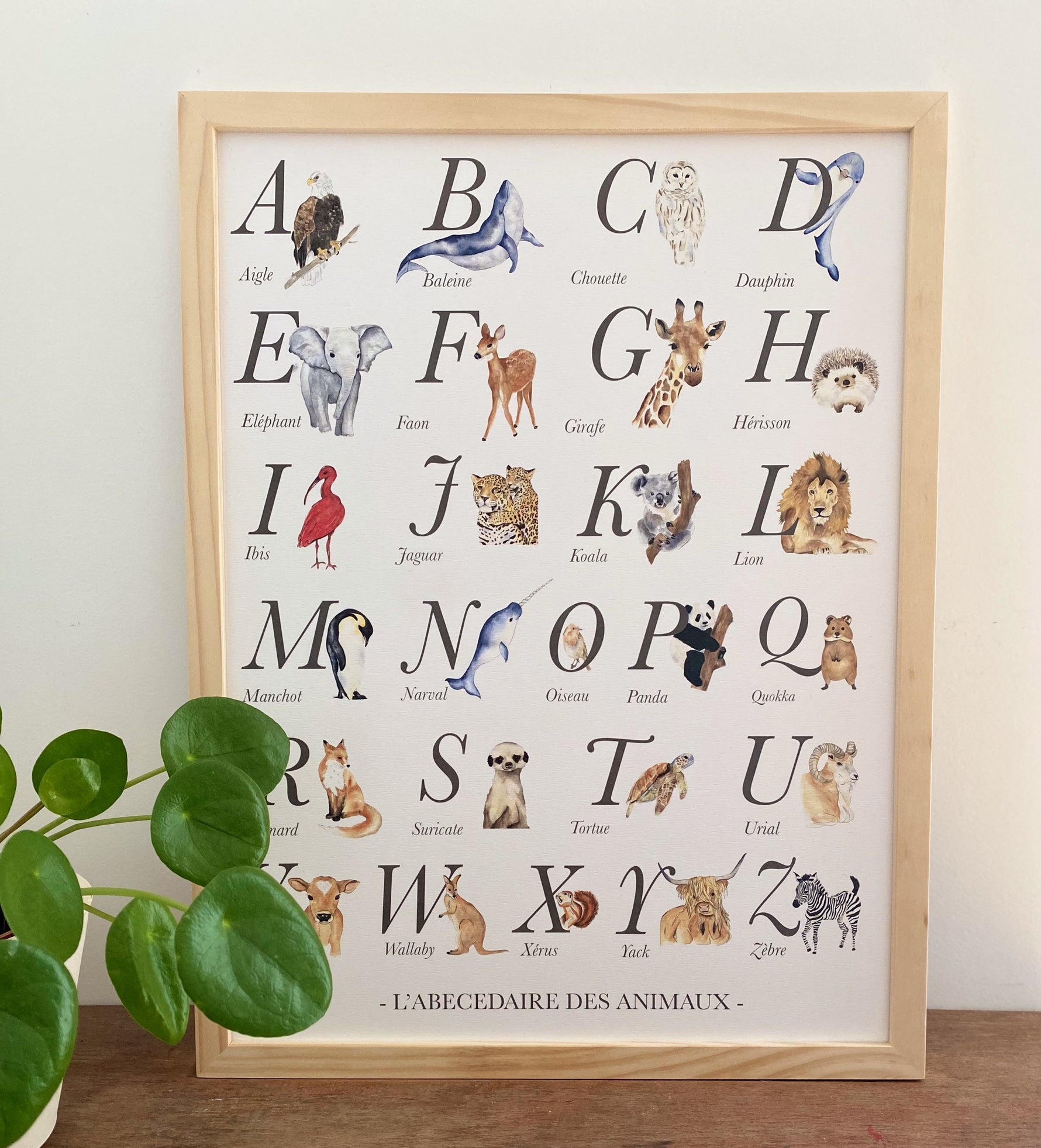 Affiche éducative animaux aquarelle format A3 pour décoration murale chambre enfant