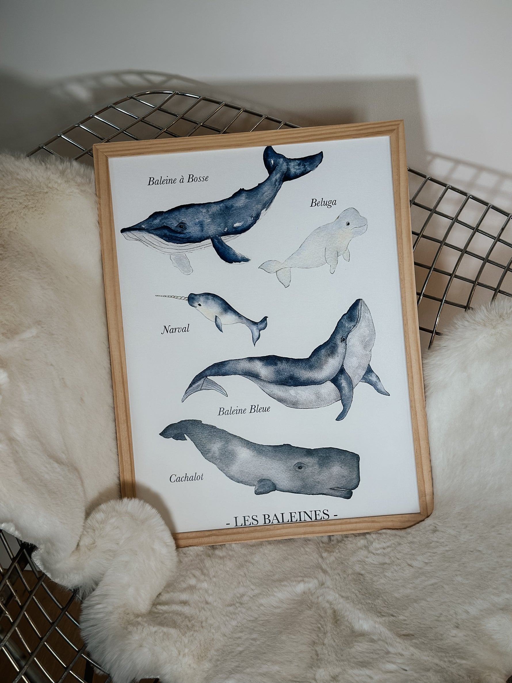 Illustration éducative de baleines peintes à l'aquarelle pour chambre bébé et enfant