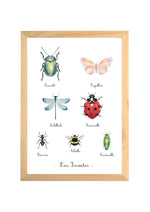 Affiche insectes aquarelle pour chambre bébé présentant différents insectes dans une illustration éducative et poétique