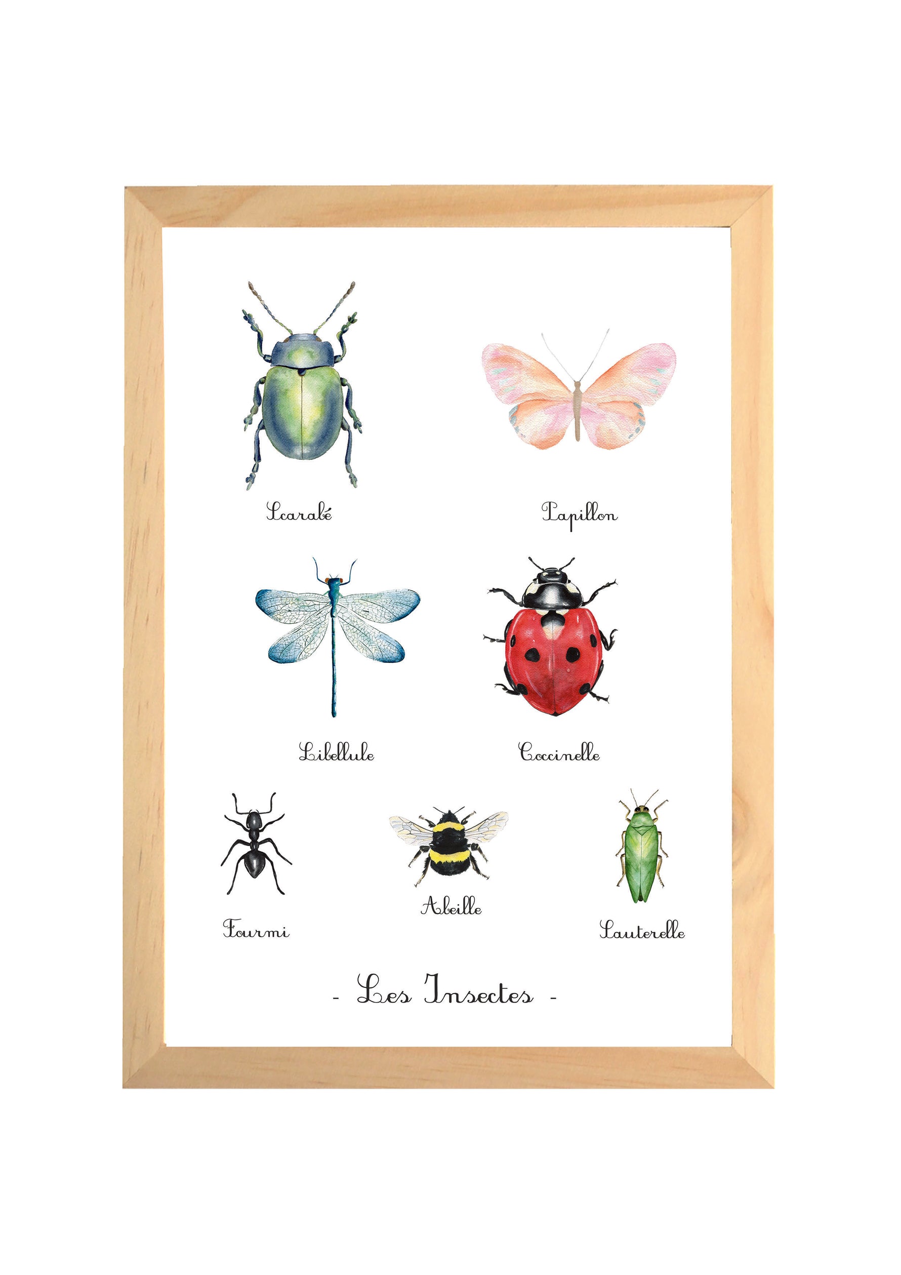 Affiche insectes aquarelle pour chambre bébé présentant différents insectes dans une illustration éducative et poétique