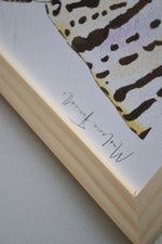 Détail de l’illustration famille jaguar à l’aquarelle