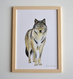 Affiche loup animaux forêt peinte à l’aquarelle