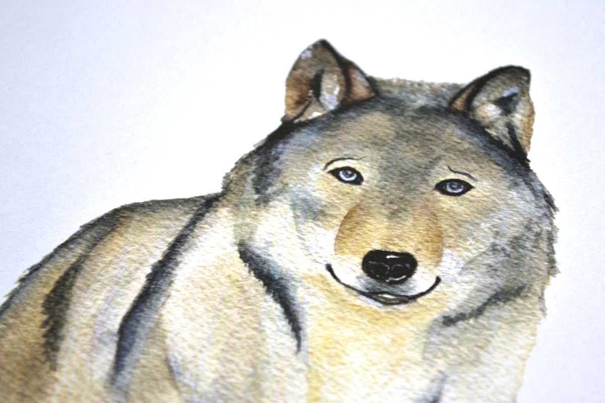 Affiche loup aquarelle idéale en cadeau pour enfant