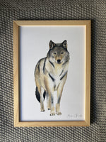 affiche loup aquarelle décoration chambre bébé