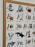 Poster éducatif océan aquarelle pour cadeau de naissance et décoration bébé
