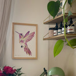 affiche oiseau colibri décoration chambre enfant