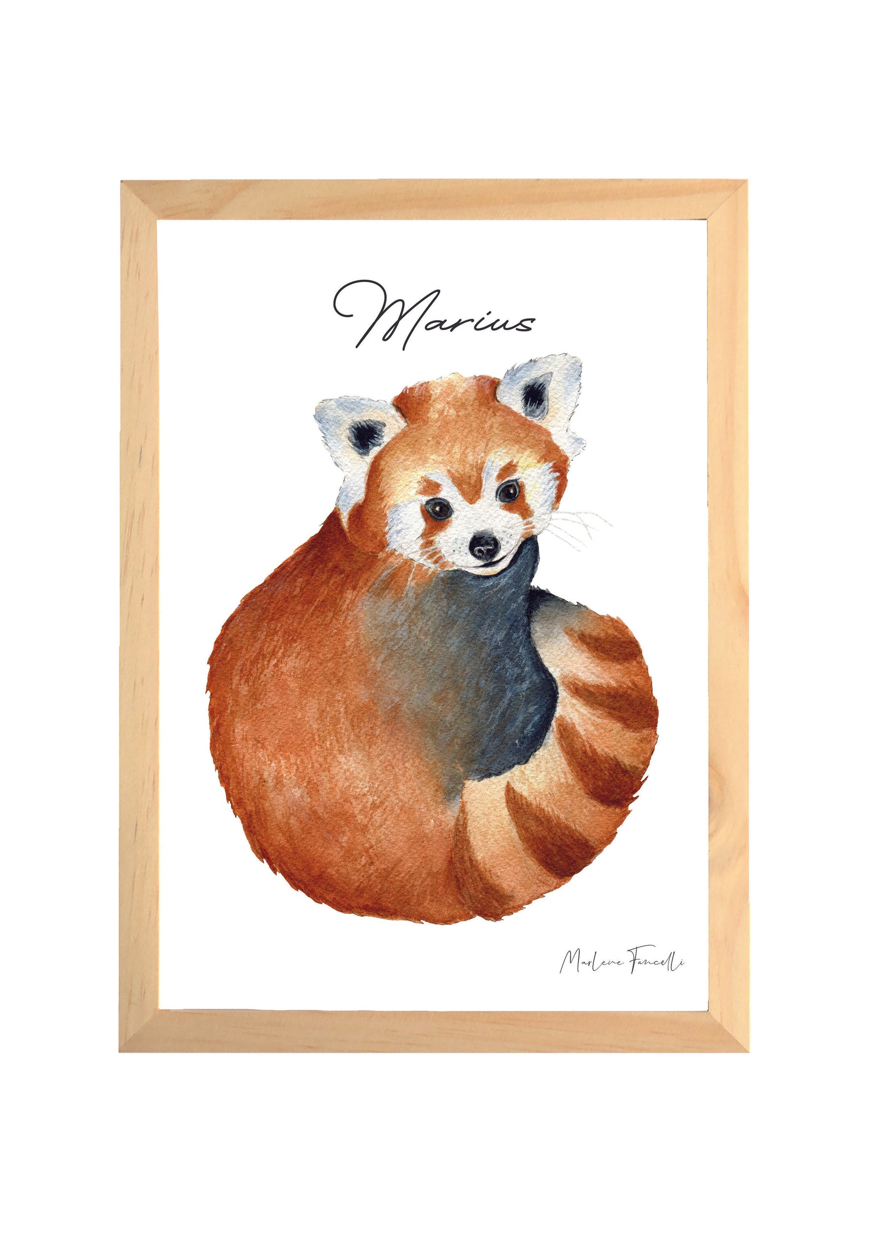 illustration panda roux à l’aquarelle à personnaliser