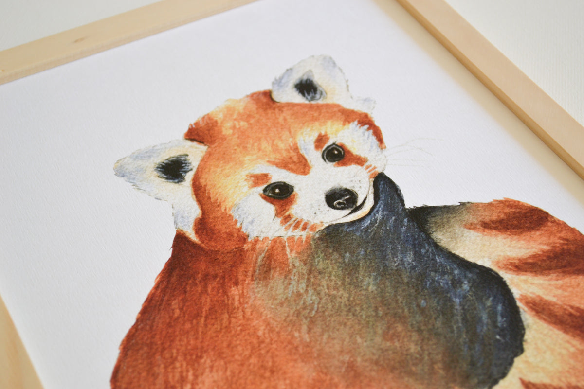 Affiche panda roux thème forêt aquarelle