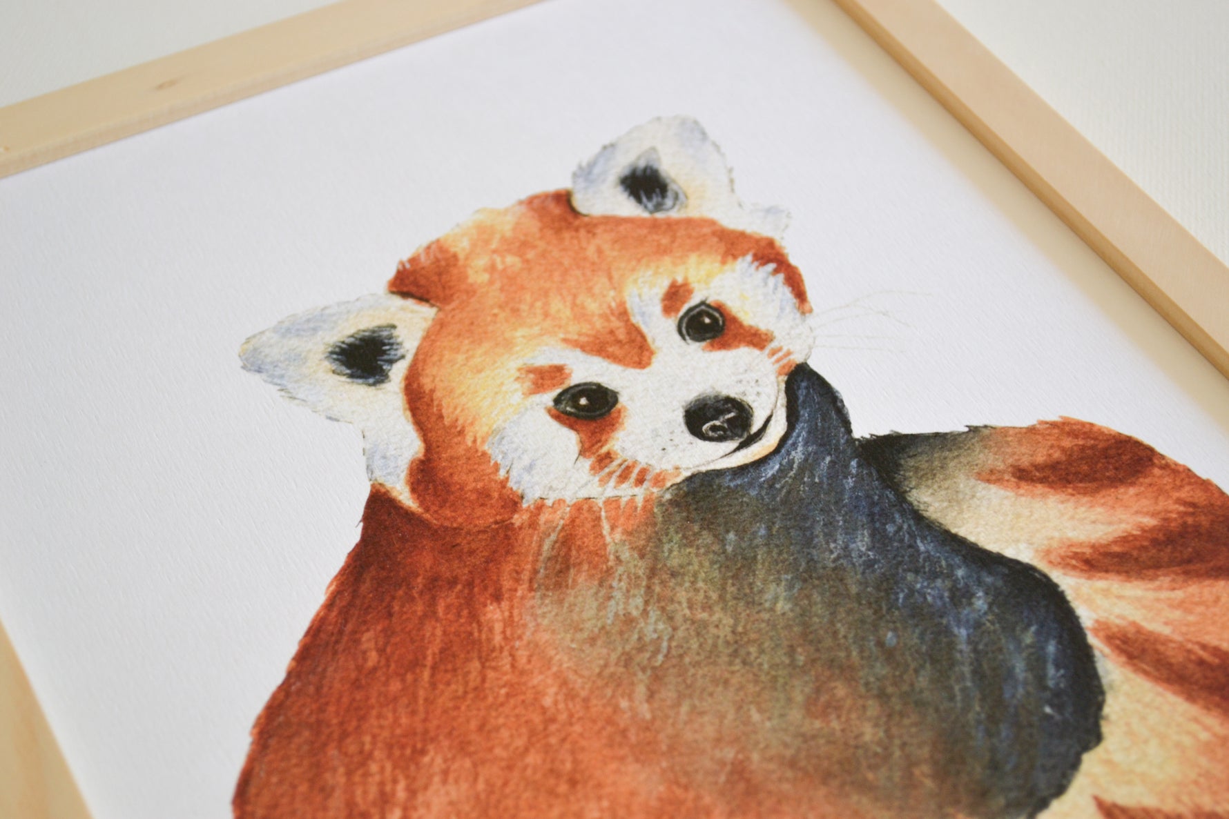 Affiche panda roux thème forêt aquarelle