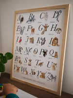Affiche alphabet éducative avec animaux aquarelle et cadre bois pour chambre enfant