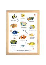 Affiche poissons tropicaux aquarelle pour chambre bébé avec différentes espèces marines colorées peintes à la main et cadre en bois naturel.