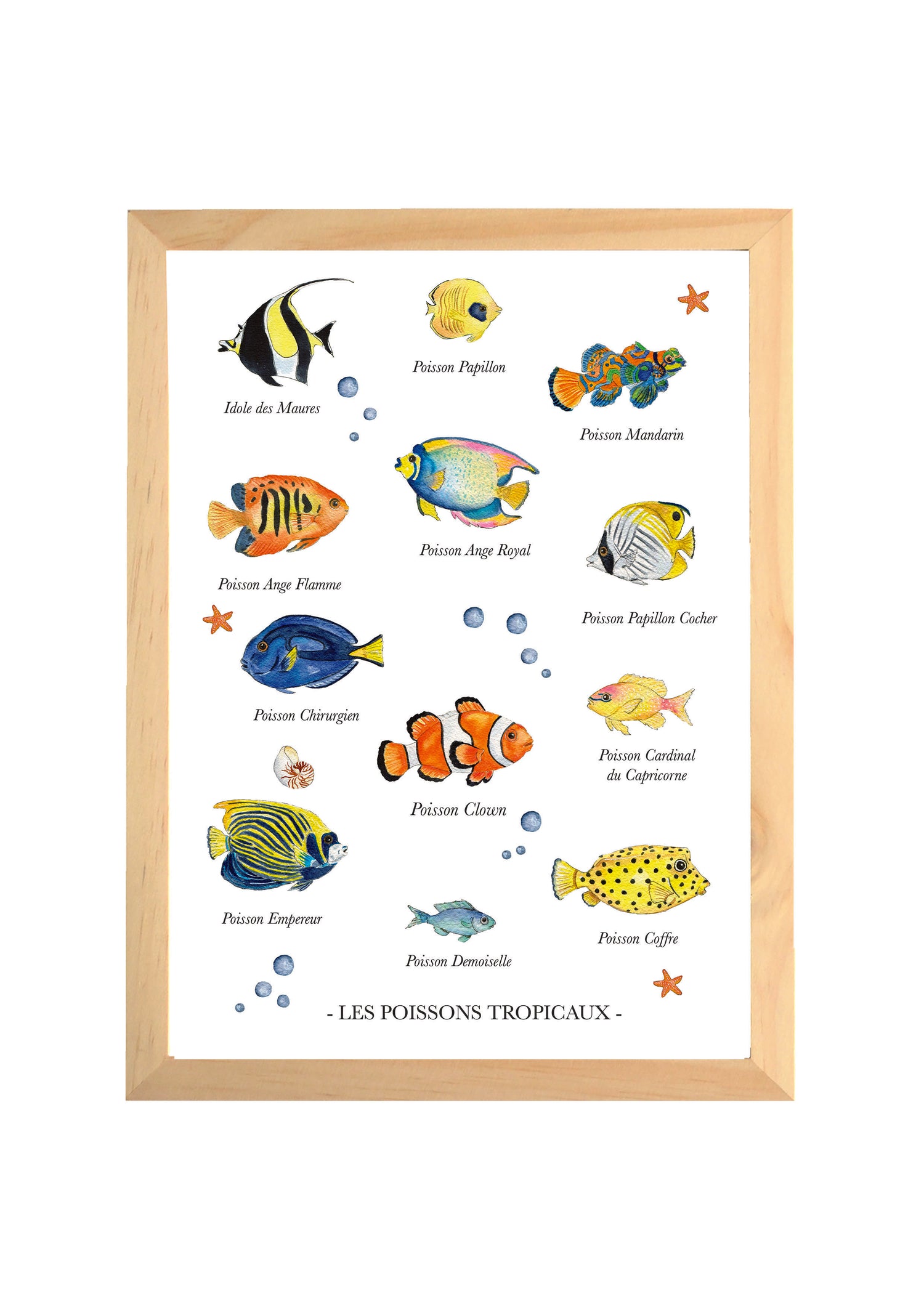 Affiche poissons tropicaux aquarelle pour chambre bébé avec différentes espèces marines colorées peintes à la main et cadre en bois naturel.