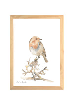 affiche rouge-gorge aquarelle chambre bébé