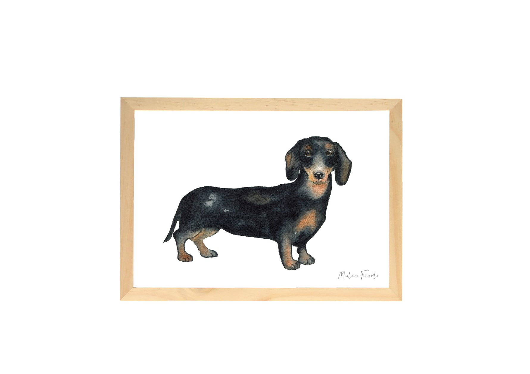 Affiche teckel aquarelle encadrée, portrait chien marron et noir décoration murale