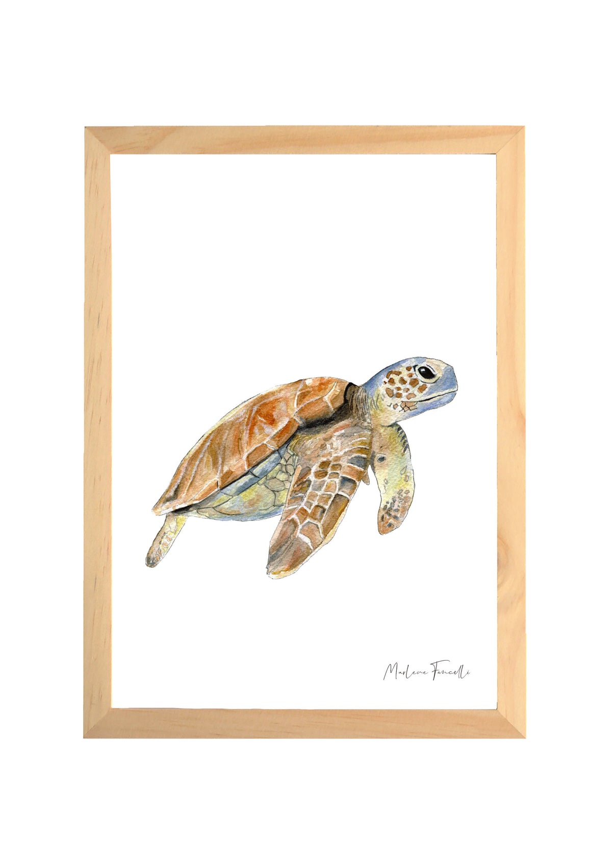 affiche tortue de mer aquarelle chambre bébé