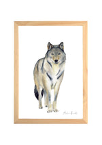Cadre affiche aquarelle Loup Milo image 0