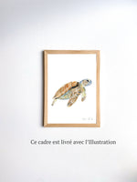 Cadre affiche aquarelle Tortue de Mer Sam image 4