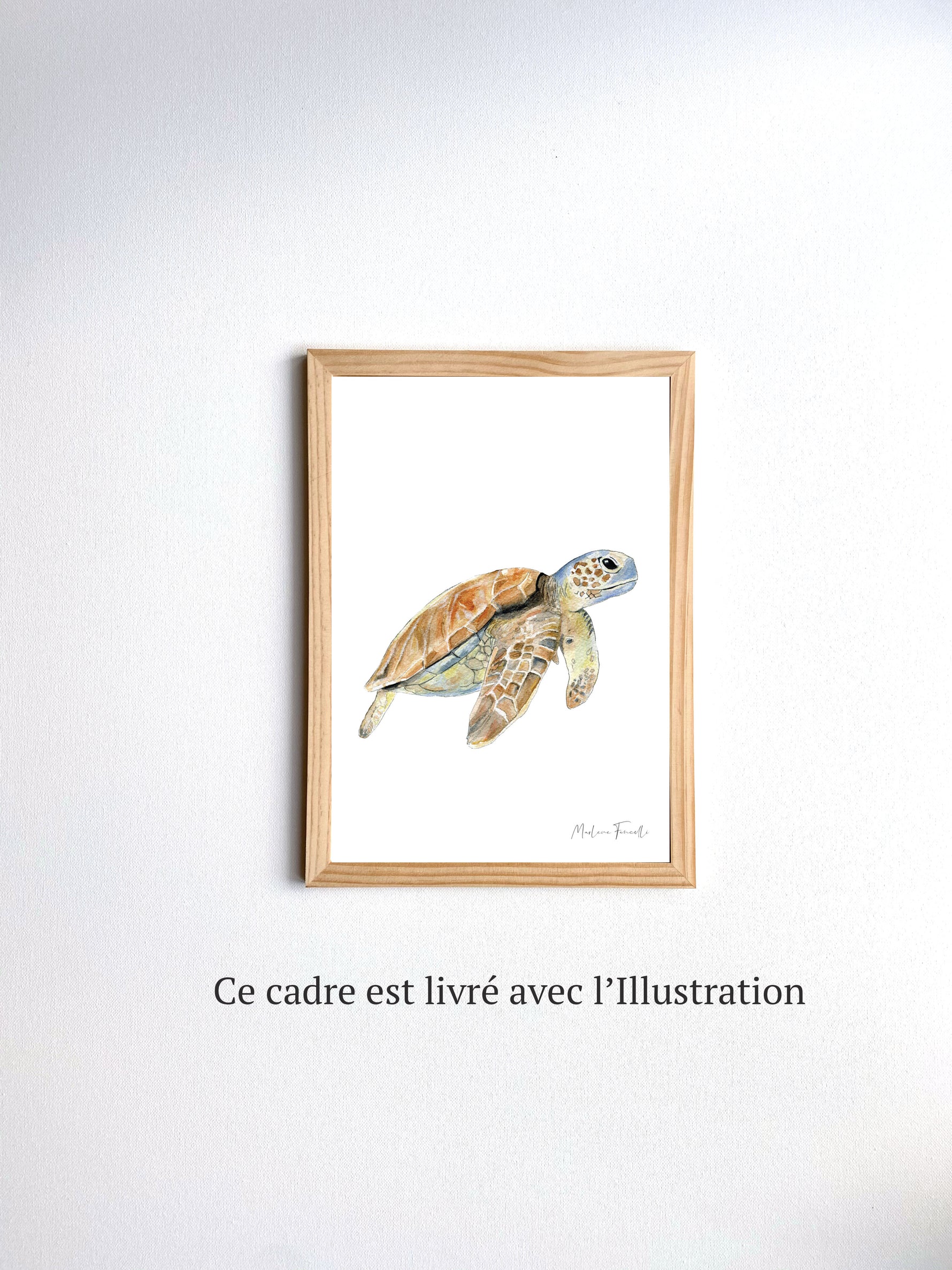 Cadre affiche aquarelle Tortue de Mer Sam image 4