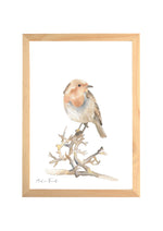 Cadre affiche aquarelle Oiseau Judi image 0