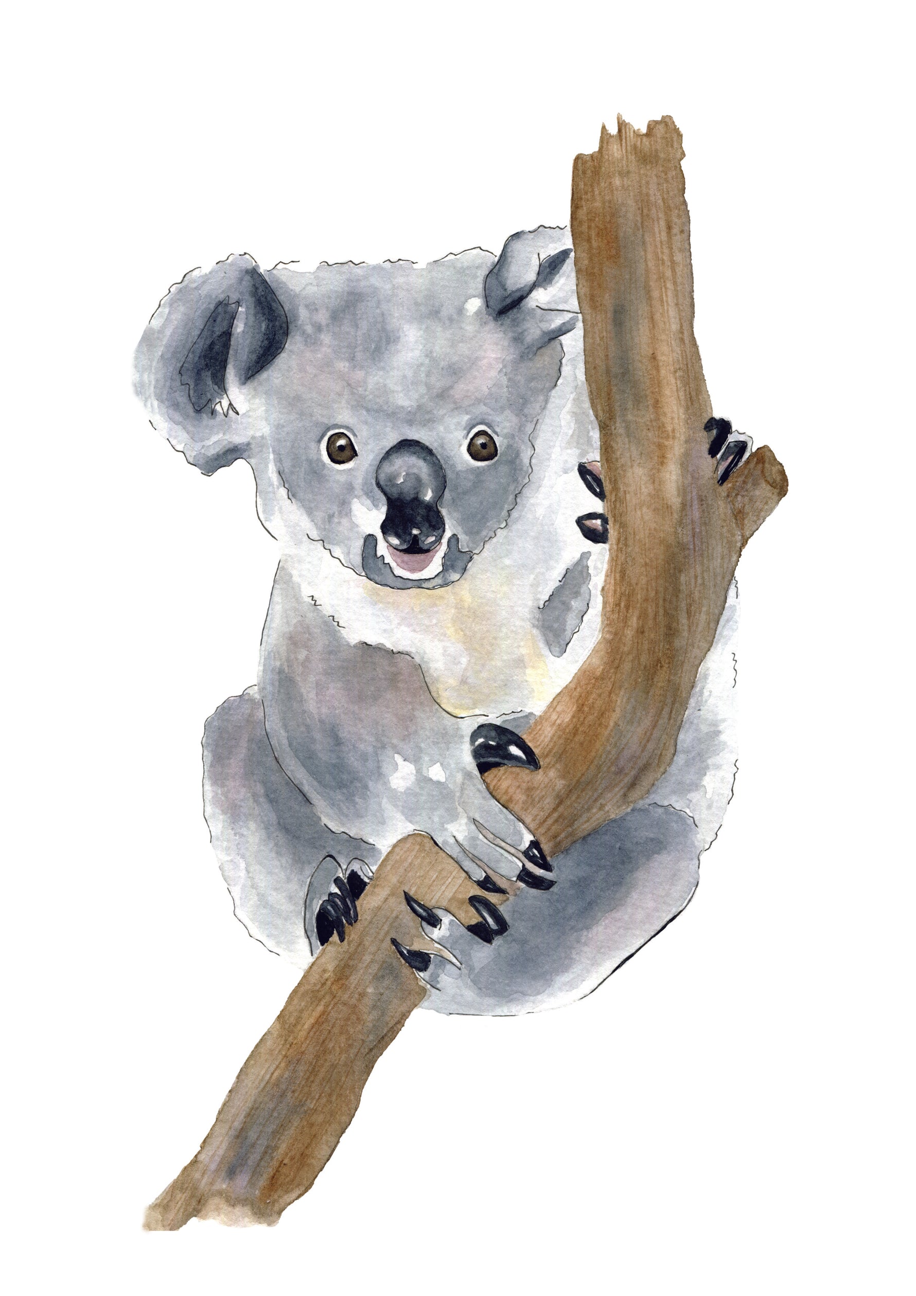 Cadre affiche aquarelle Koala Eli image 3