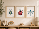 Affiche insecte scarabée, coccinelle, libellule pour décoration chambre enfant
