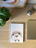 carnet de dessin et d'écriture animaux aquarelle Hérisson 