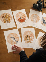 Signe Astrologique Lion - Illustration aquarelle image 6