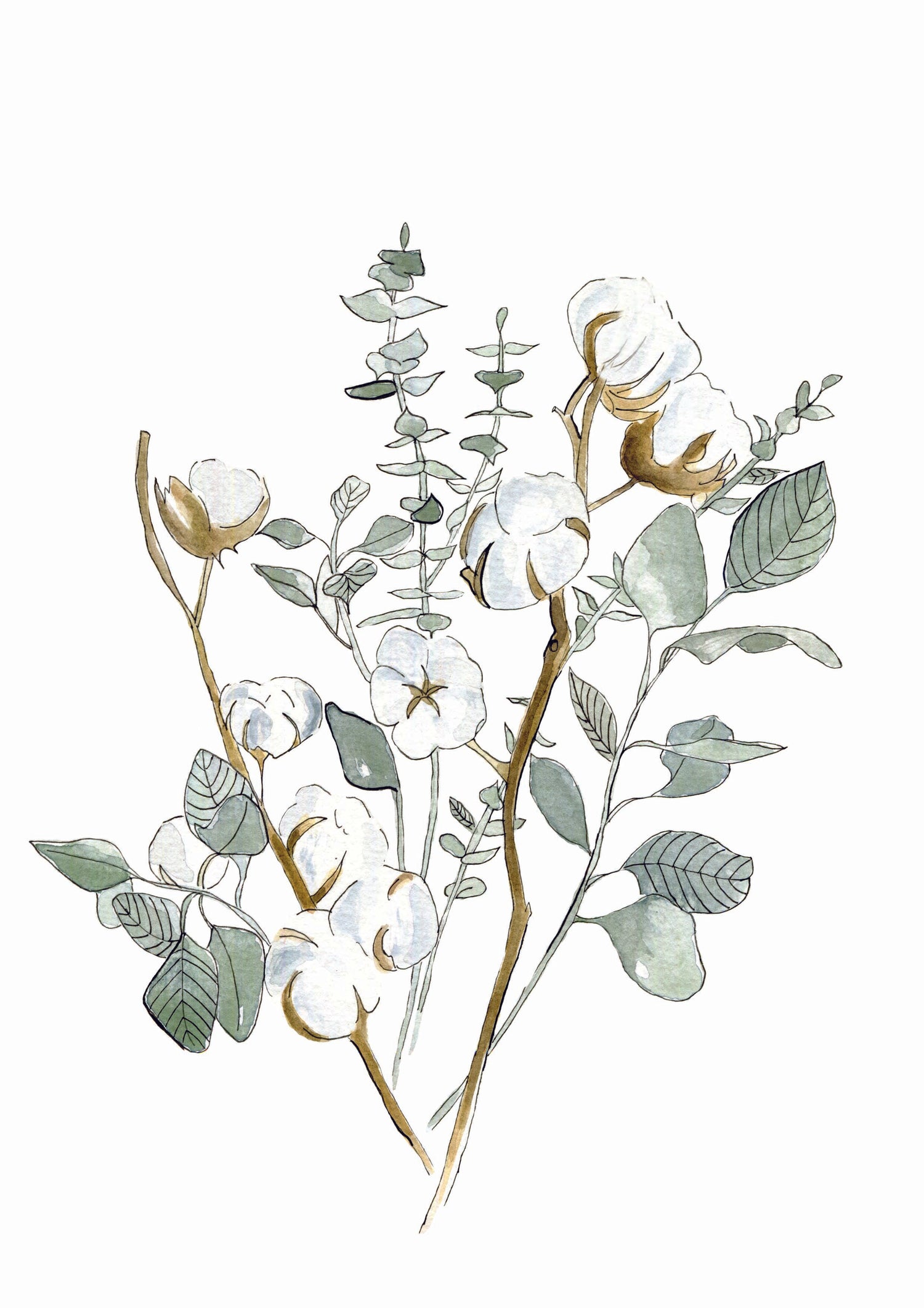 Cadre affiche aquarelle Fleurs de coton & Eucalyptus image 1