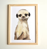 Cadre affiche aquarelle Suricate Romain image 1