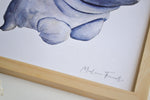 Cadre affiche aquarelle Hippopotame Valer image 4