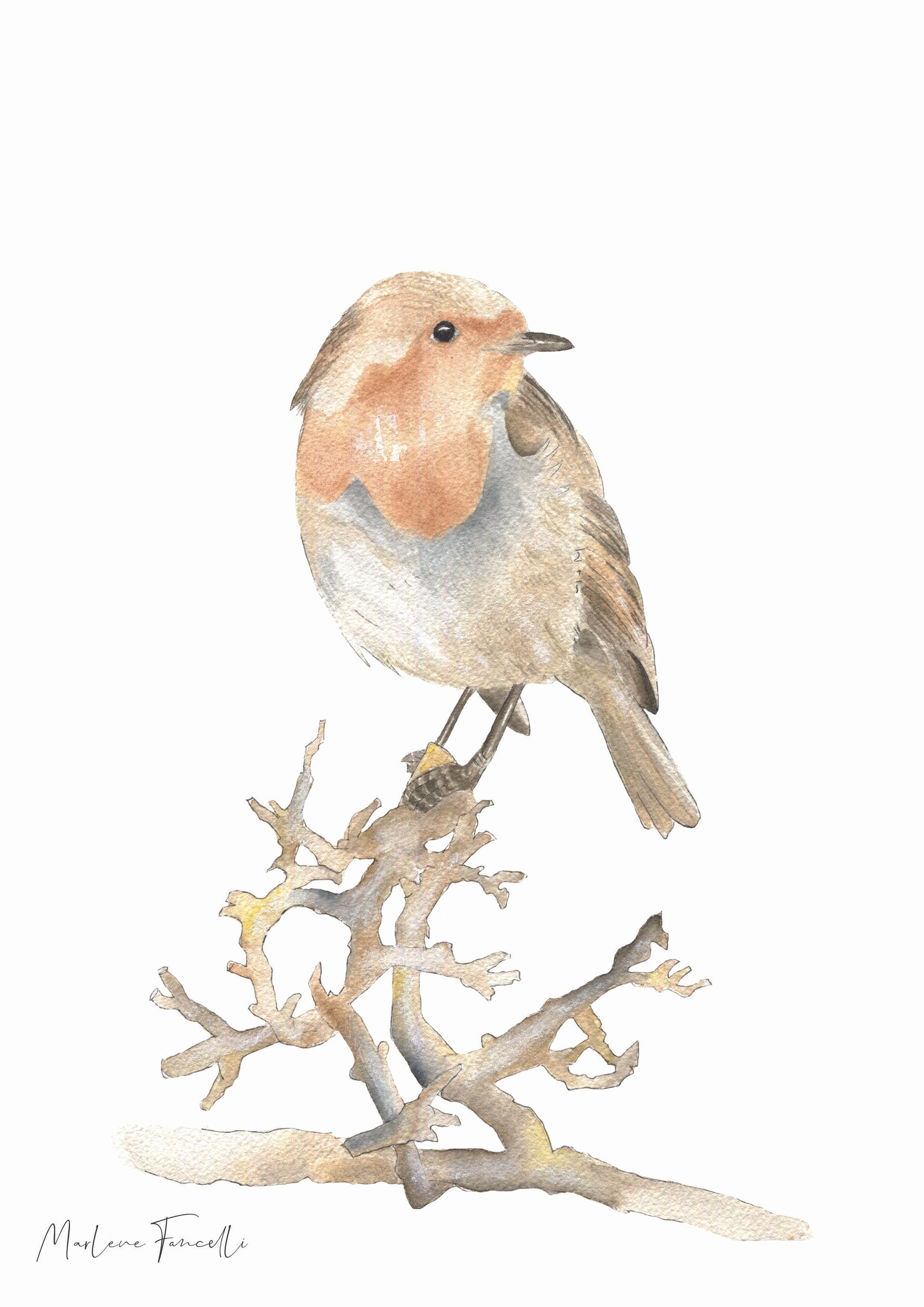 Cadre affiche aquarelle Oiseau Judi image 2
