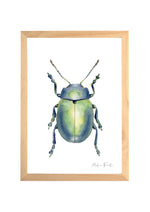 Cadre avec affiche aquarelle Scarabée image 0