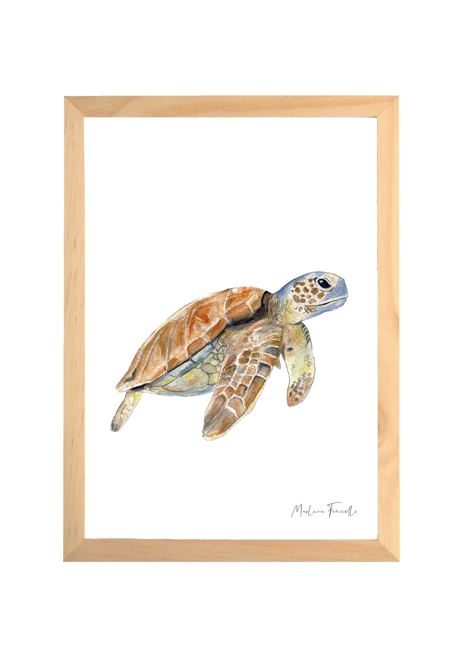 Cadre affiche aquarelle Tortue de Mer Sam image 0
