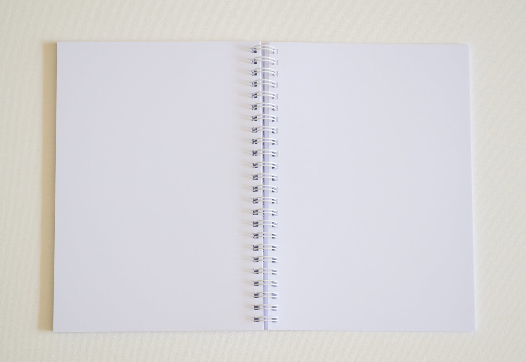 Carnet Renard image 3