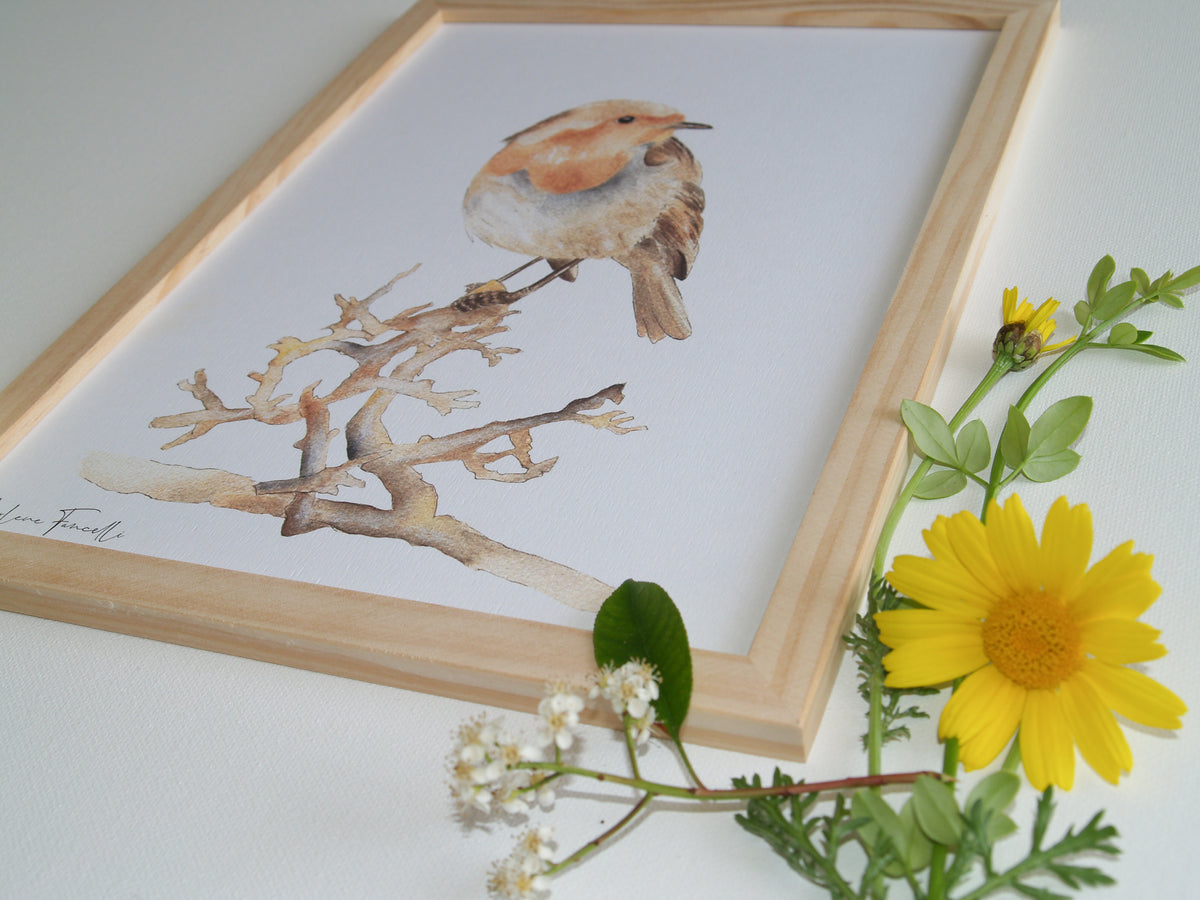 Cadre affiche aquarelle Oiseau Judi image 5