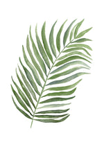 Cadre affiche aquarelle Feuille de Palme image 4