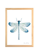 Cadre avec affiche aquarelle Libellule image 0