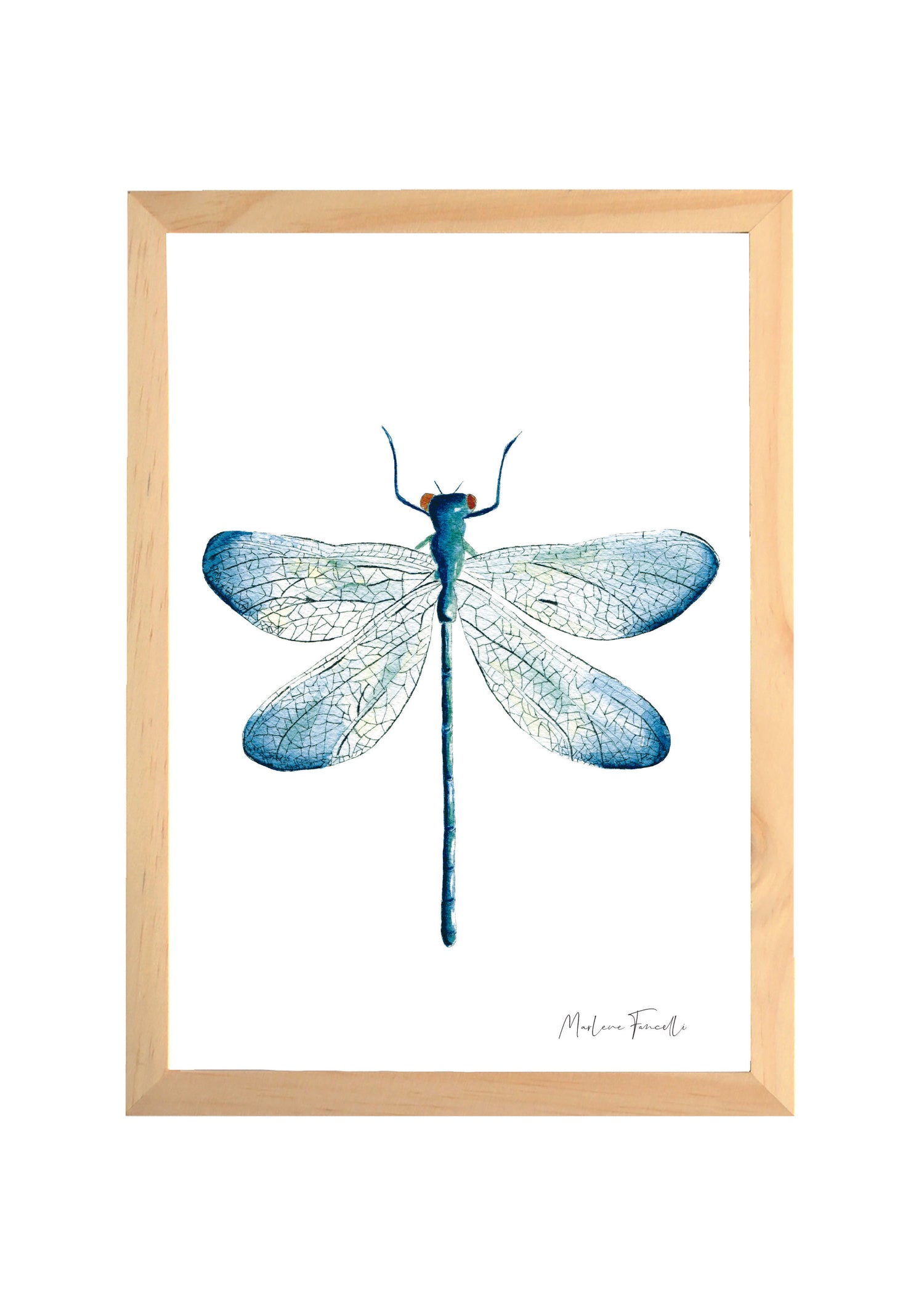 Cadre avec affiche aquarelle Libellule image 0